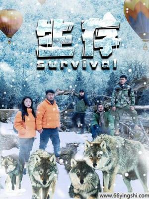 校园青春